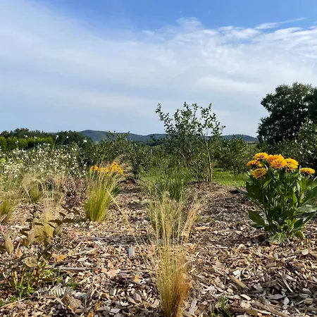 別荘 Blisko Wieprz