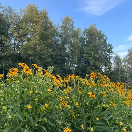 Blisko Wieprz (Wadowice)