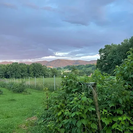 Blisko Wieprz (Wadowice)