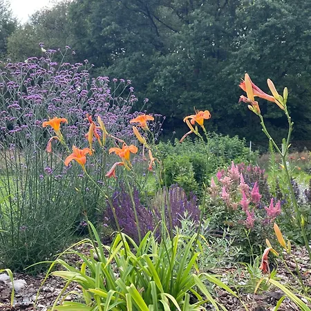 Casa vacanze Blisko Wieprz (Wadowice)