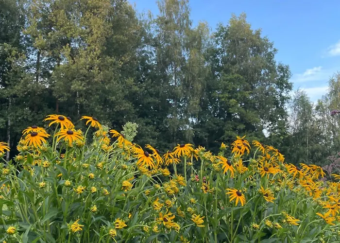 Blisko Wieprz (Wadowice)