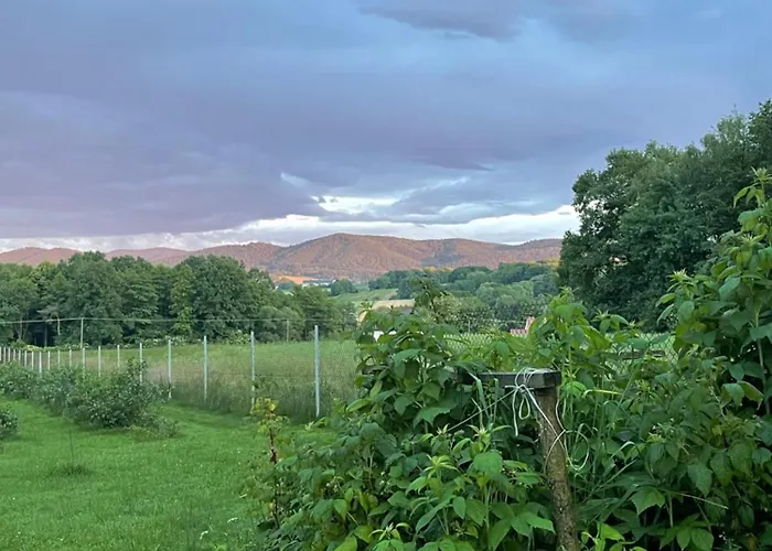 Blisko Wieprz (Wadowice)